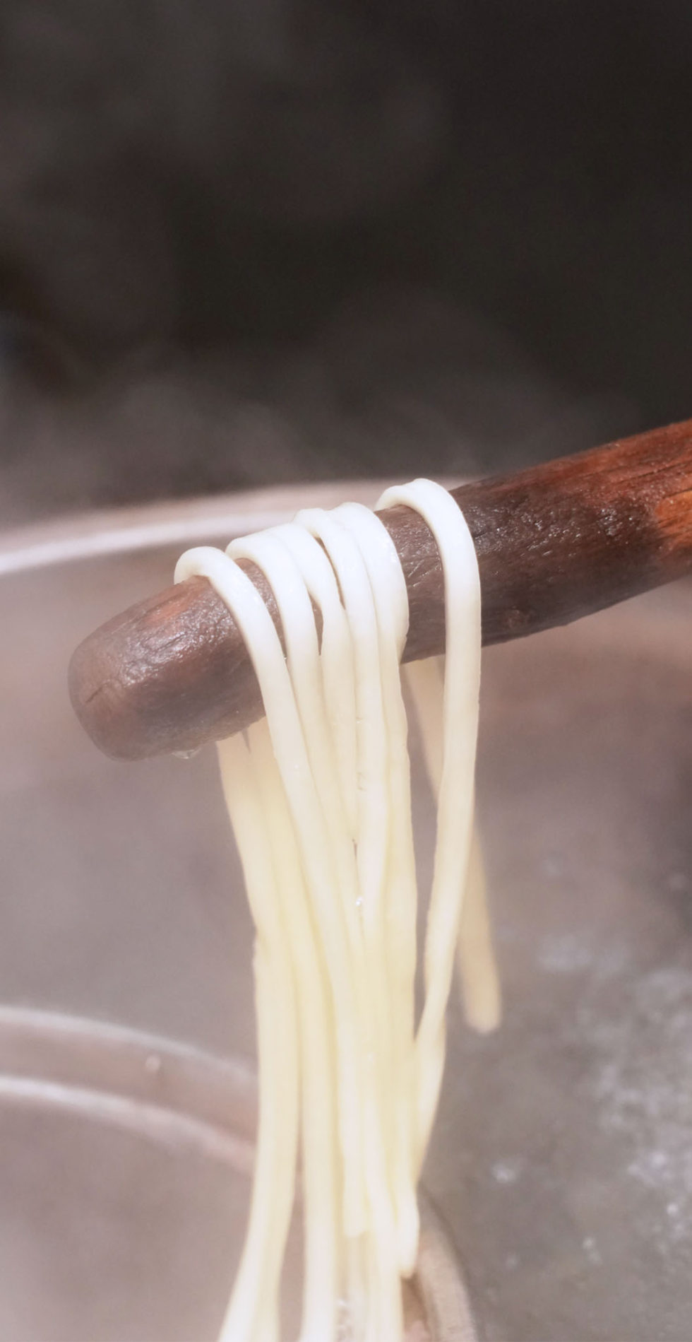 本格手打ちうどんと蕎麦の山小屋 本格手打ちうどんと蕎麦の山小屋 